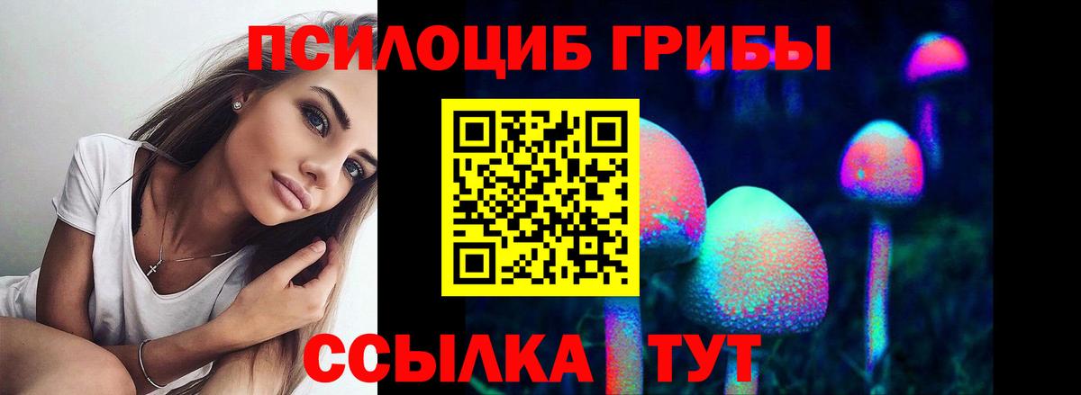 где продают   Вход с VPN  Касимов  Галлюциногенные грибы ЛСД 